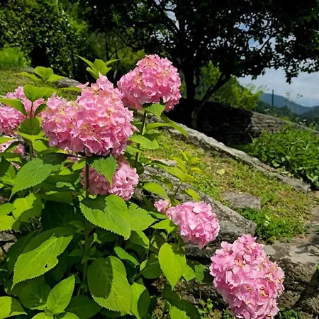 Near The Soca River *