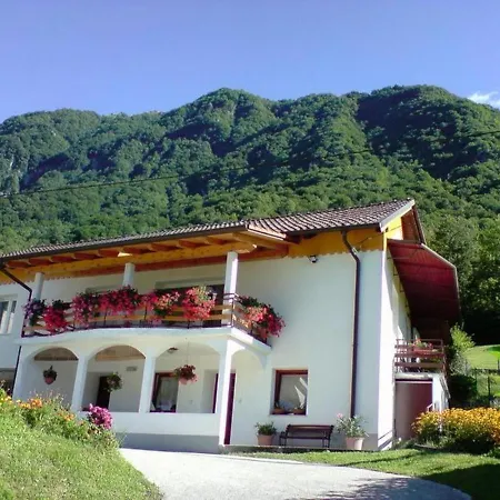 Apartamento Near The Soca River Tolmin
