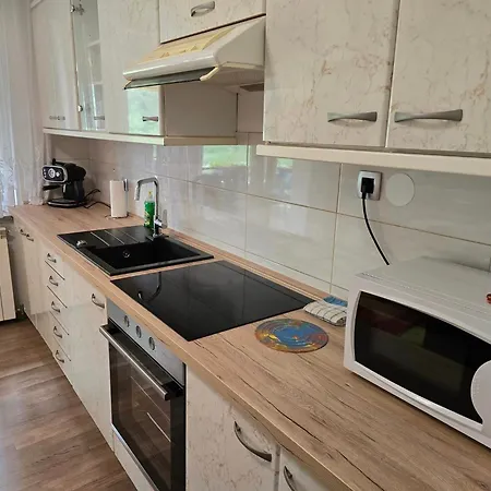 Near The Soca River Apartamento