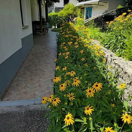 Near The Soca River *