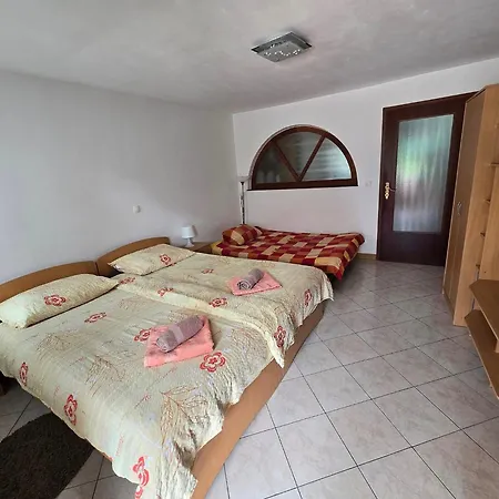 Near The Soca River Appartamento *