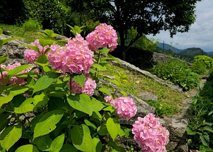 Near The Soca River *