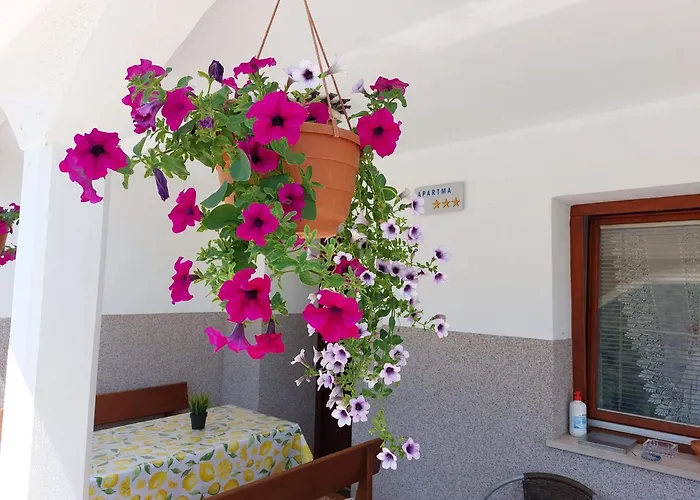 Near The Soca River 公寓 托尔明