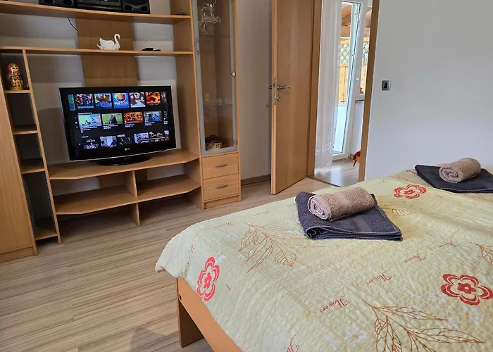 Near The Soca River 公寓 托尔明