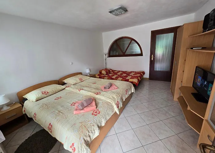 Near The Soca River 公寓 *